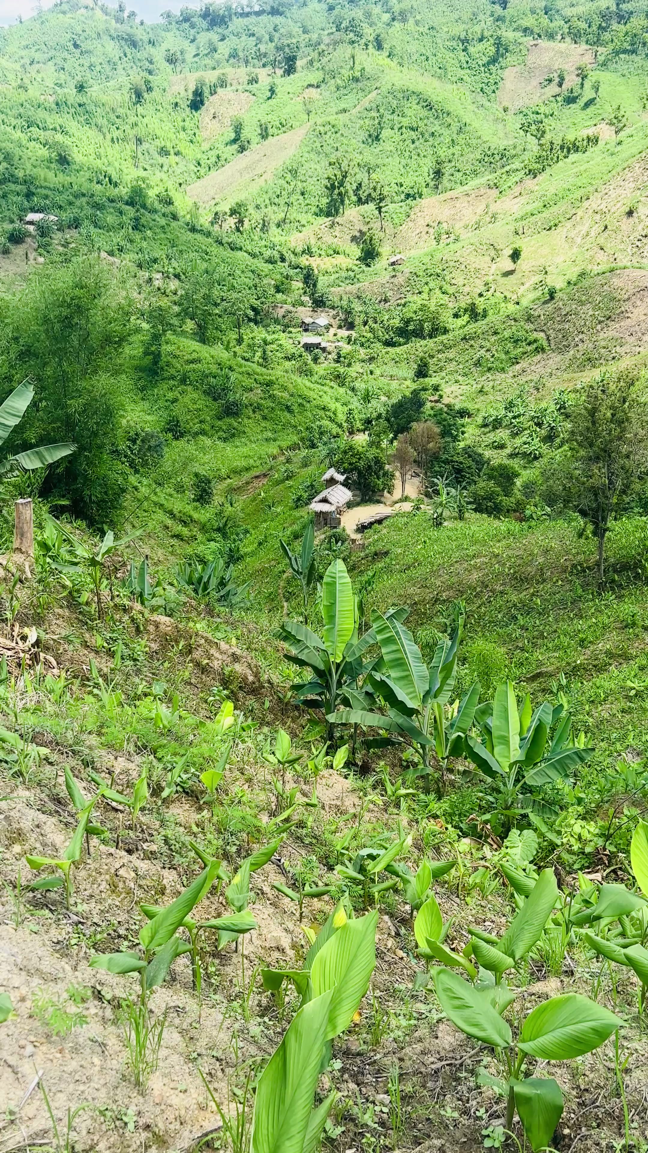 @Eskander Sajek valley
