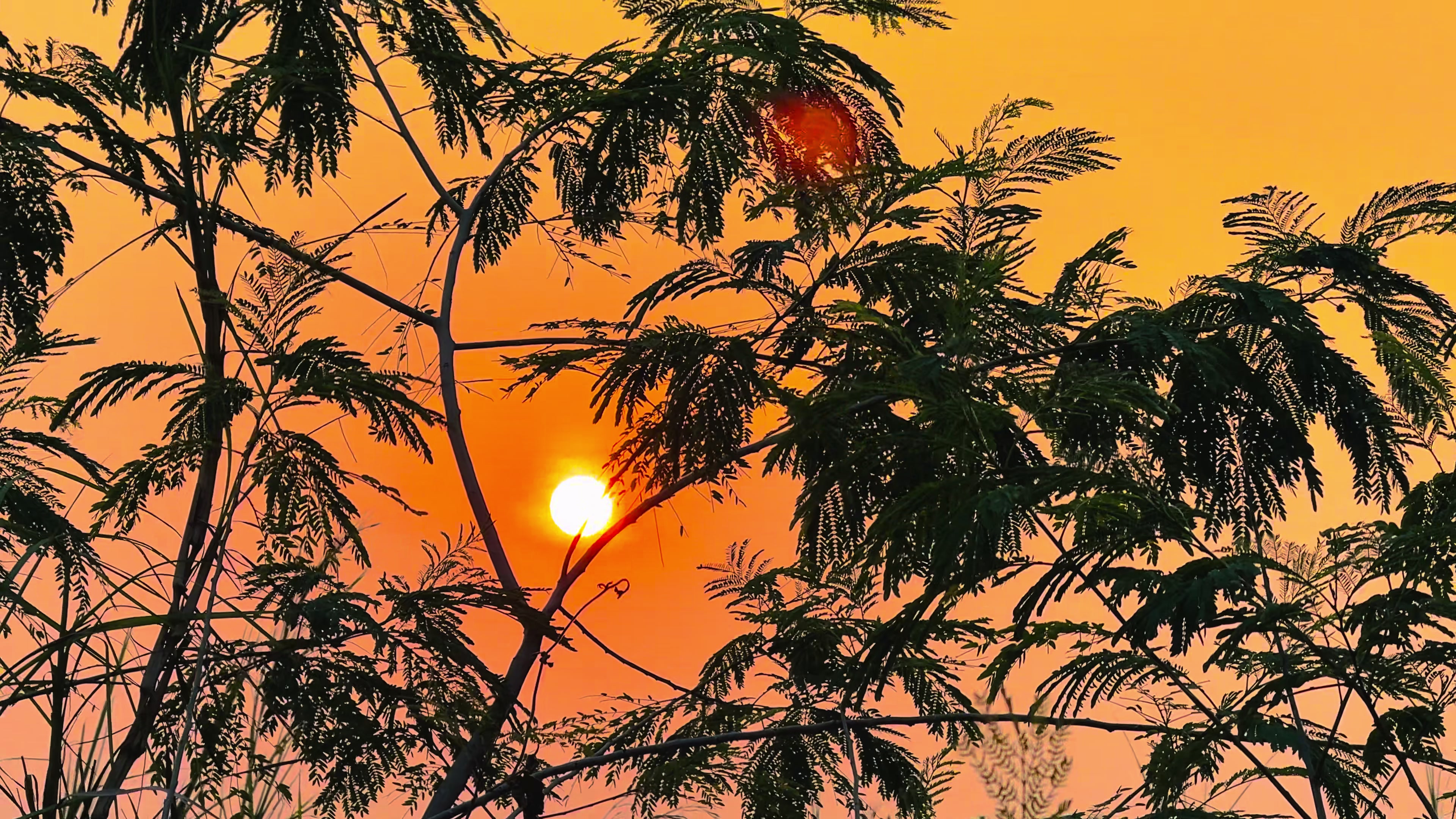 @প্রকৃতি 🍃