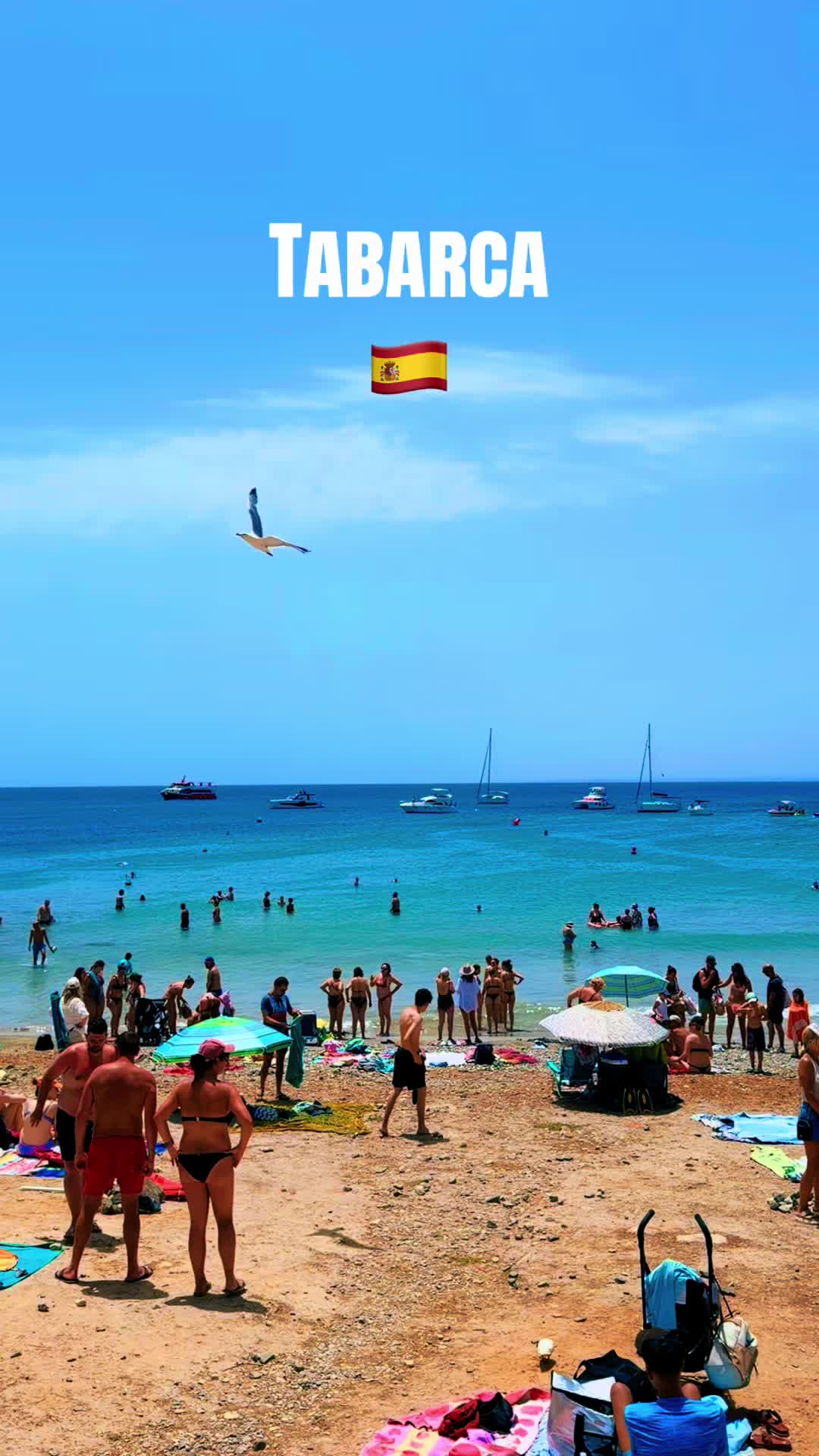 @Rent a Car|Costa Blanca Travel