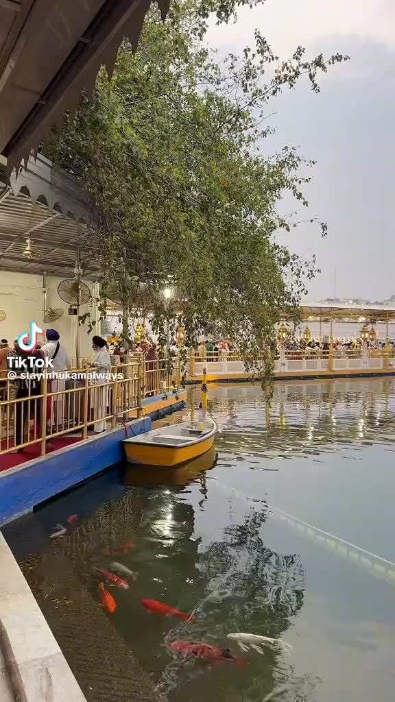 @kuldeep0001
