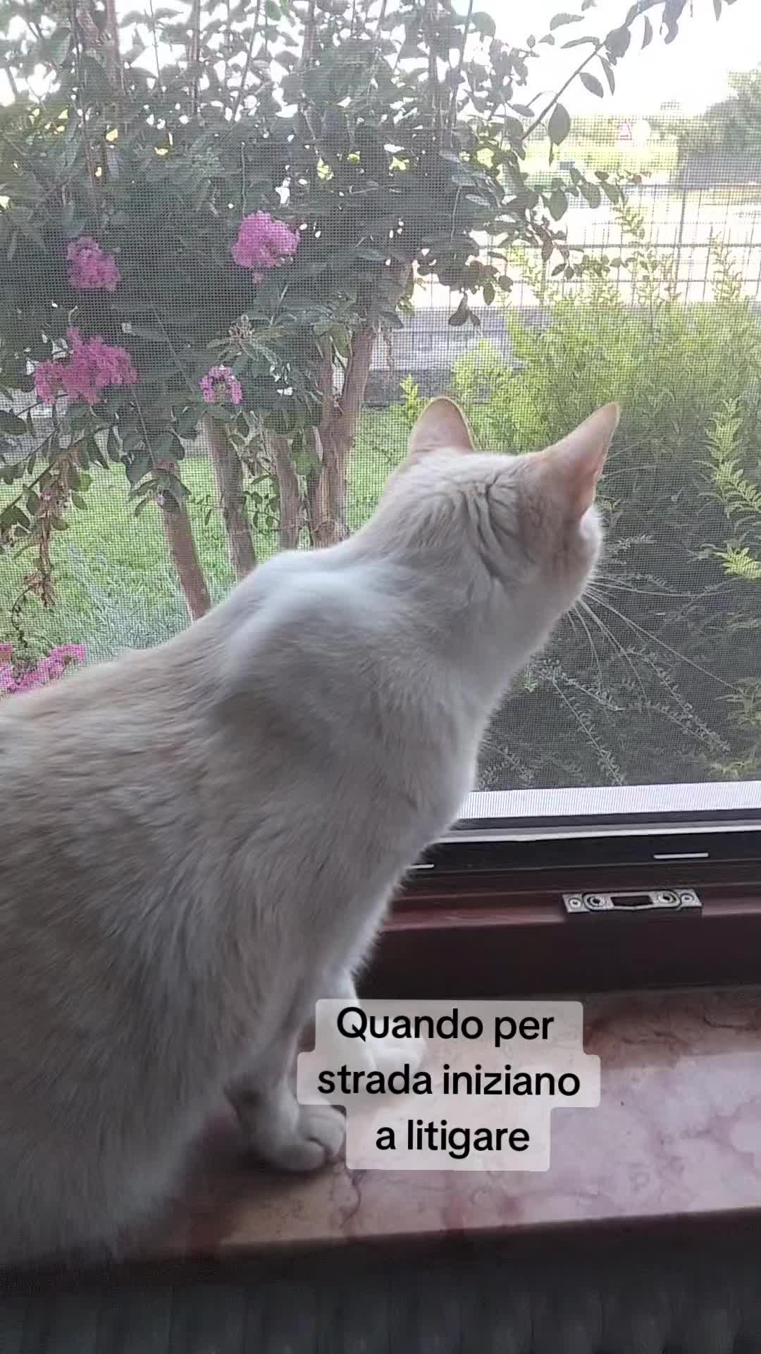 @PamDem