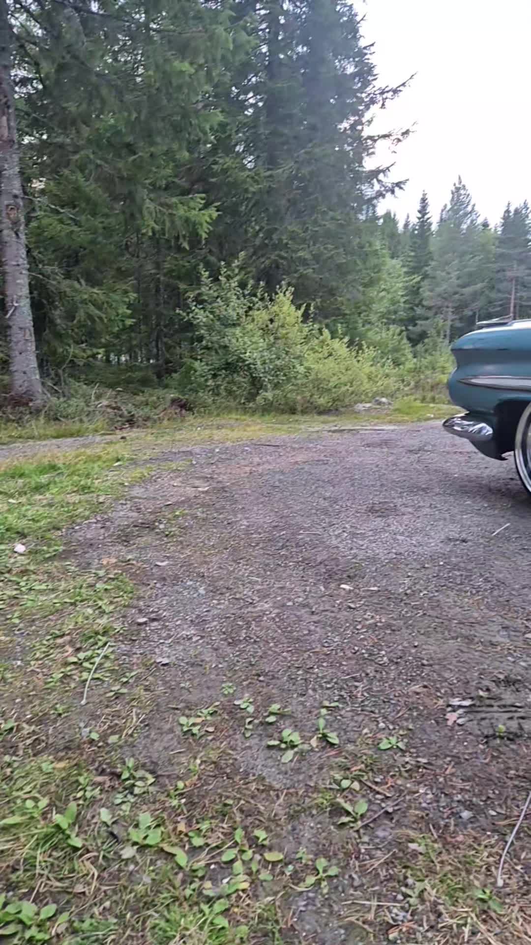@Henrik Øversjøen Fem