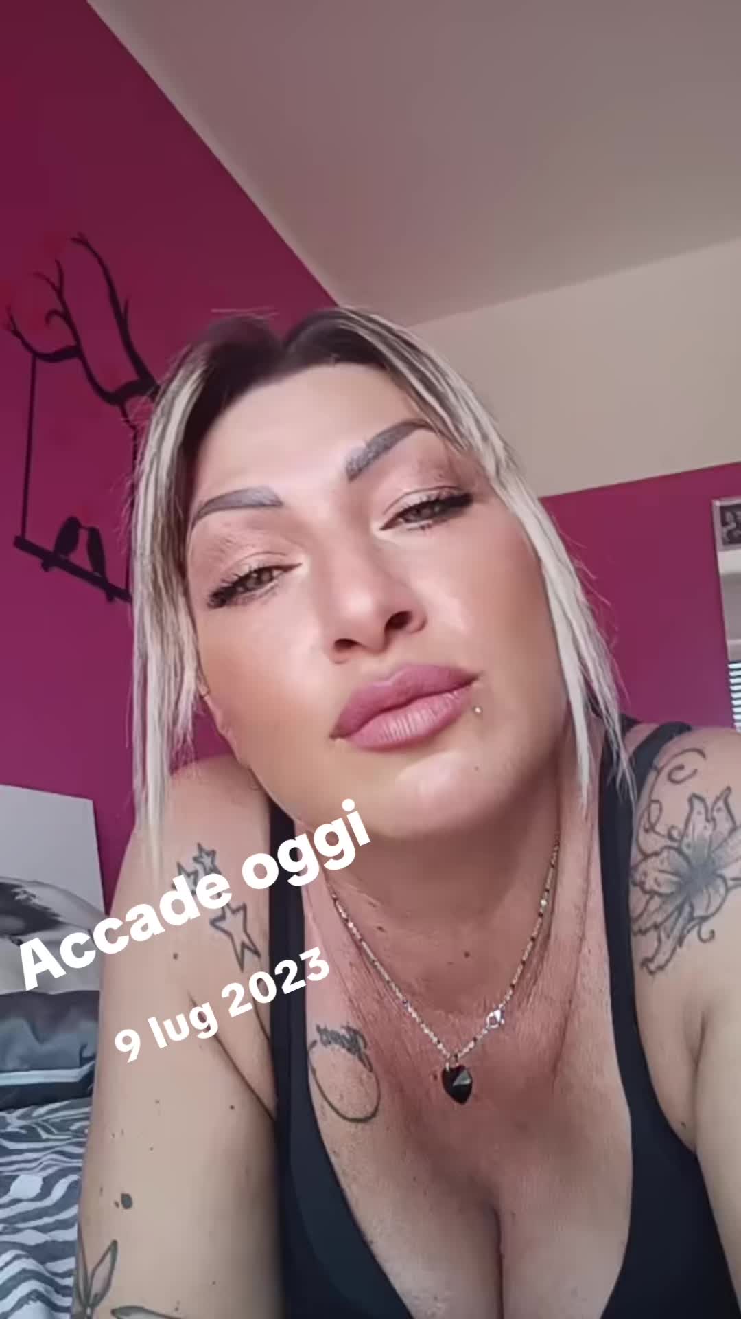 @pikkarekka