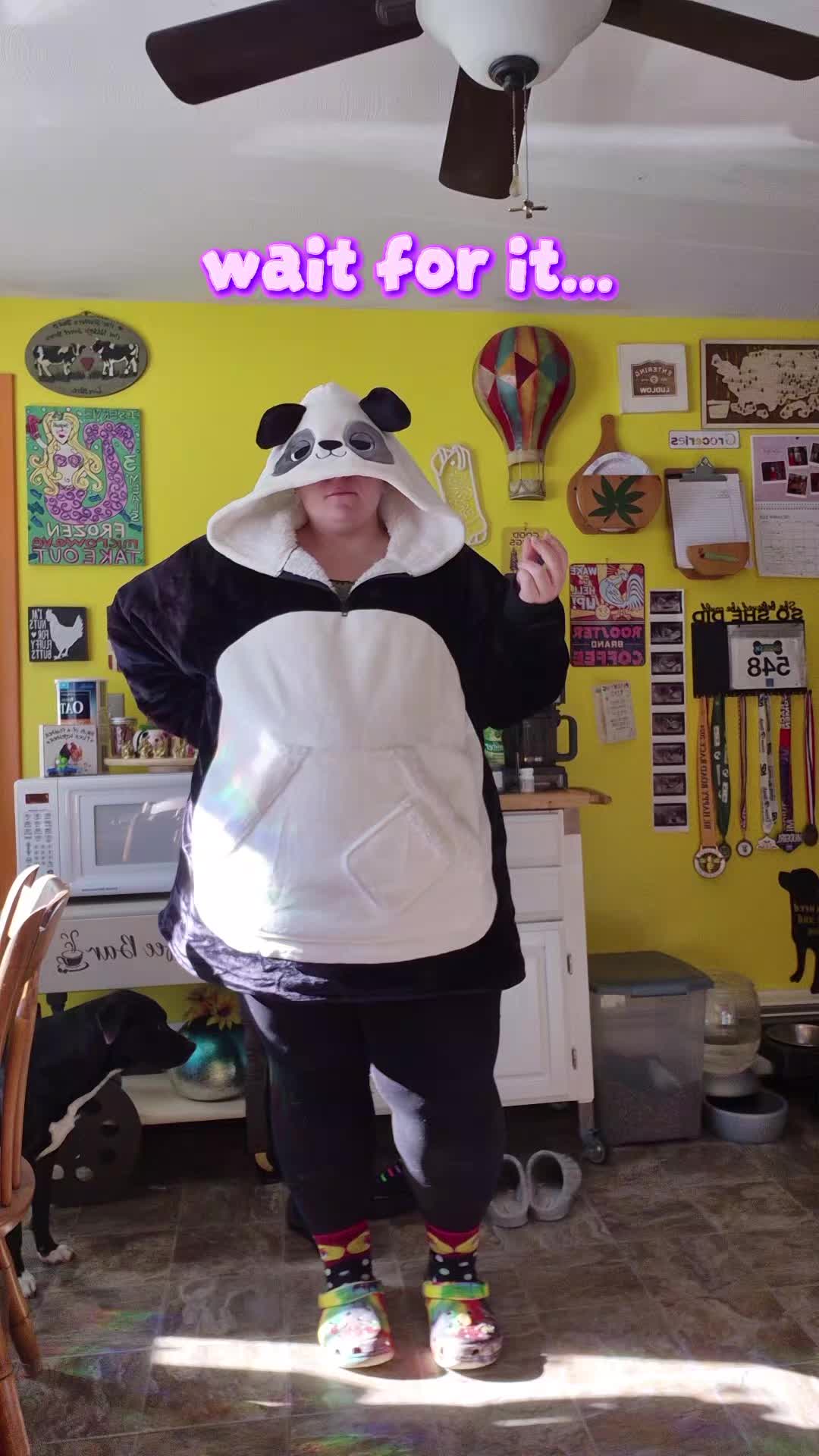 @The Dancing Panda