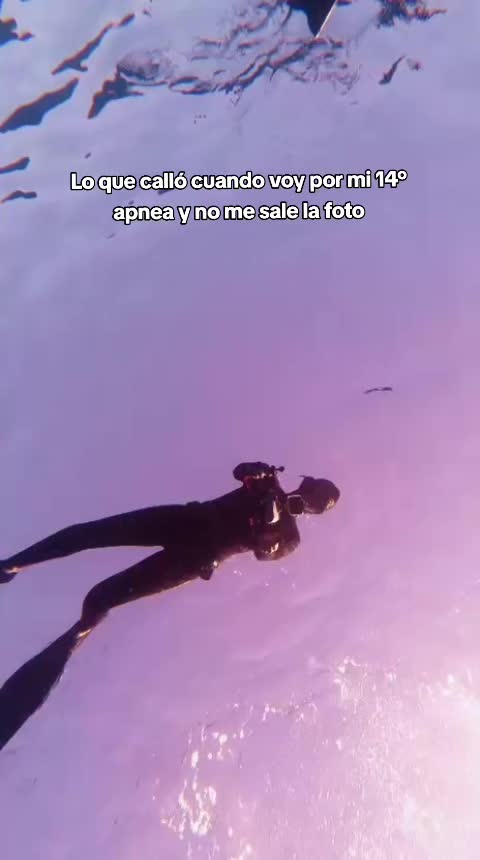 @Elenilla.p