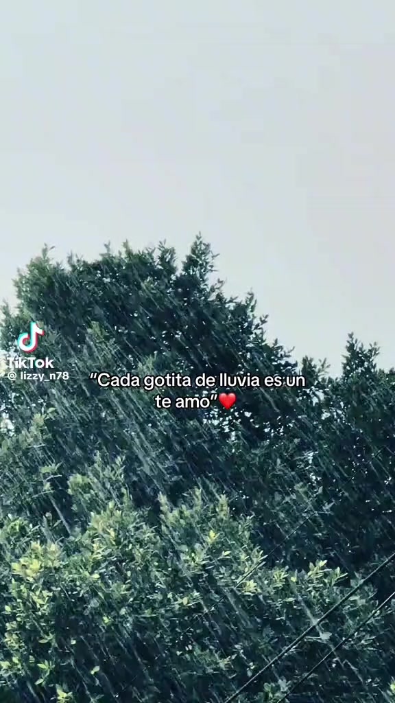 @Liz🖤🫰😭