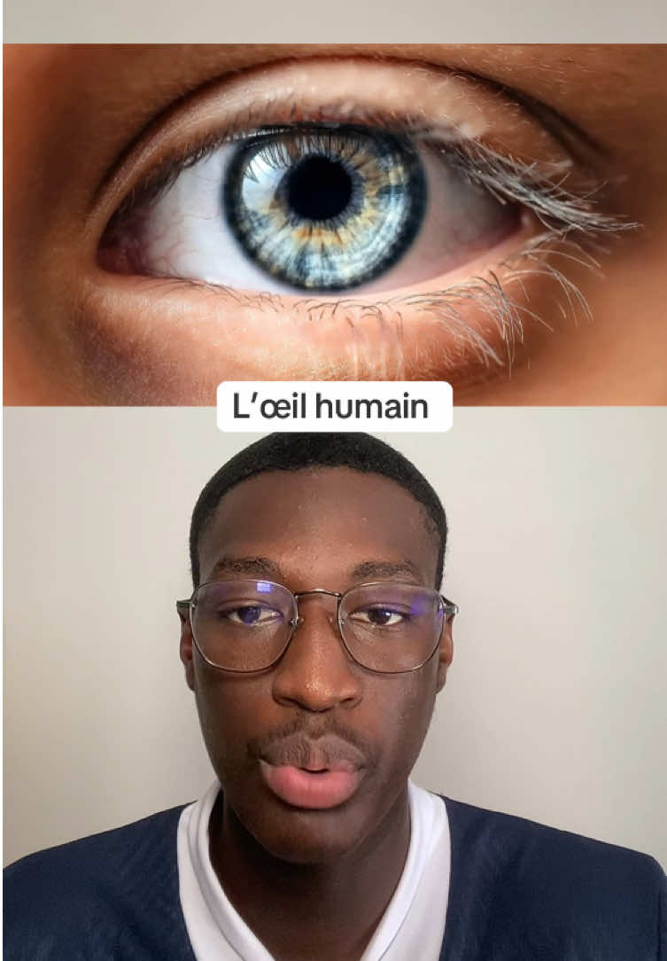@svloom