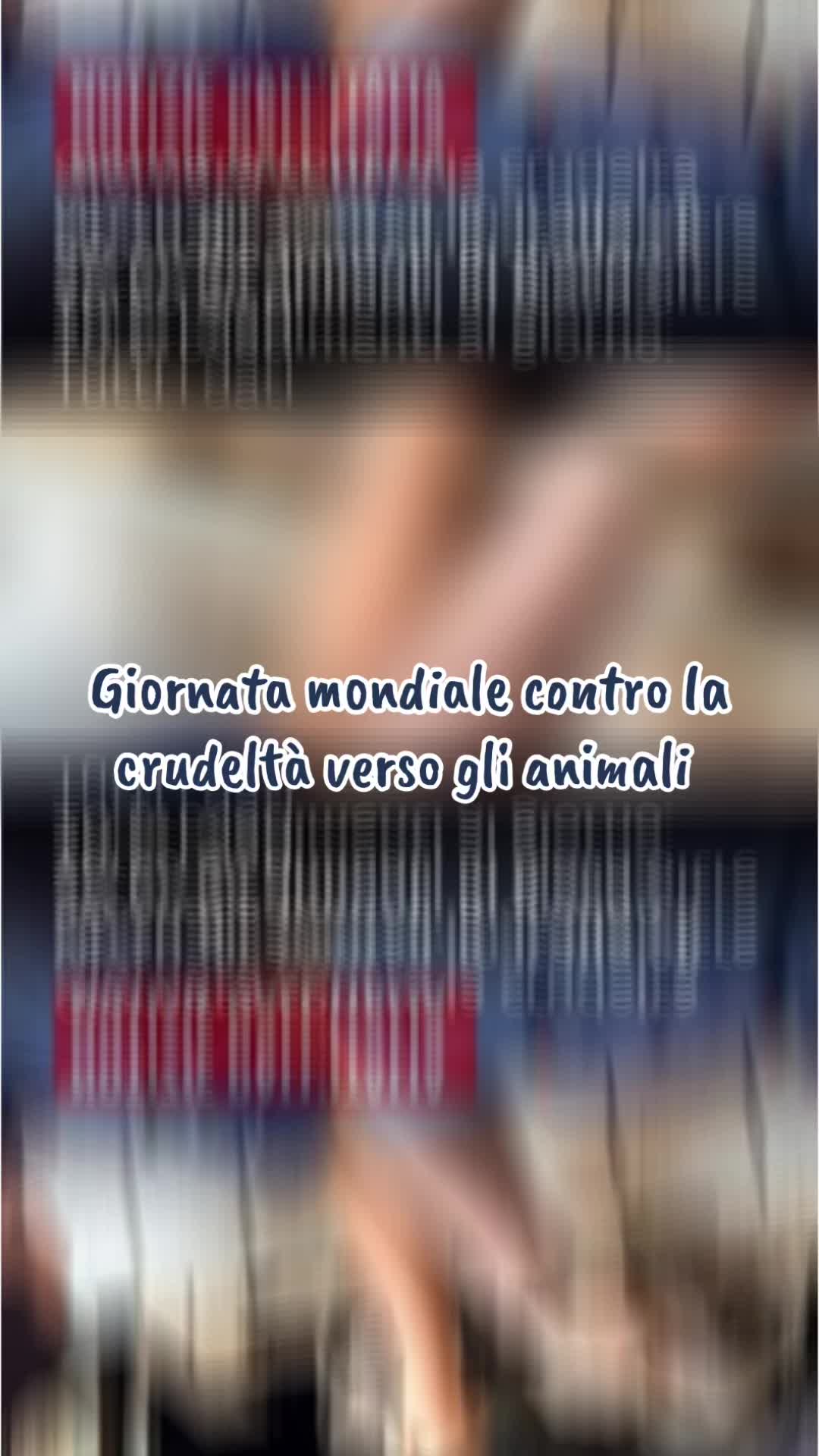 @Angela Raffaella Log