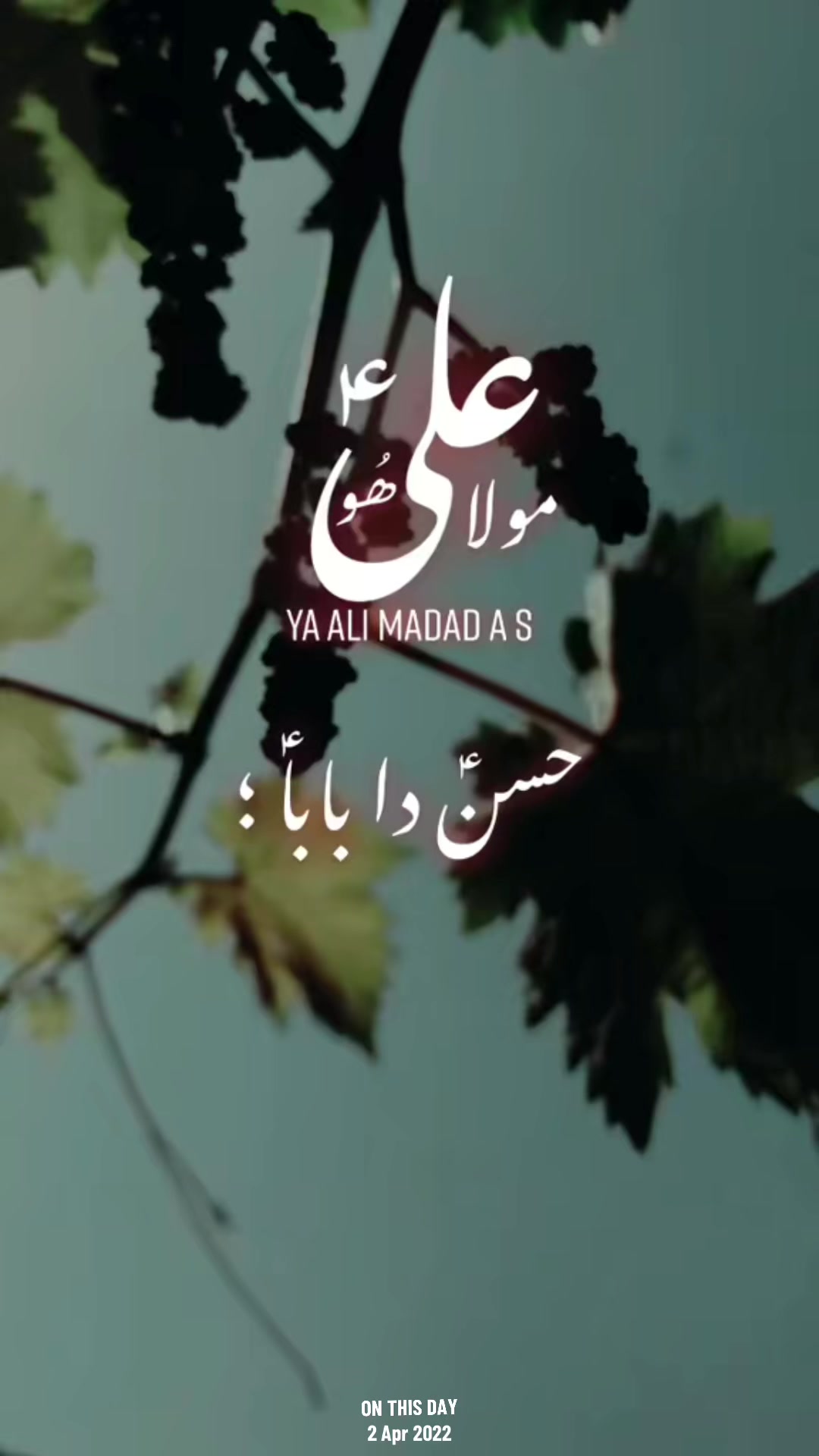 @ZeeshanHaider92110