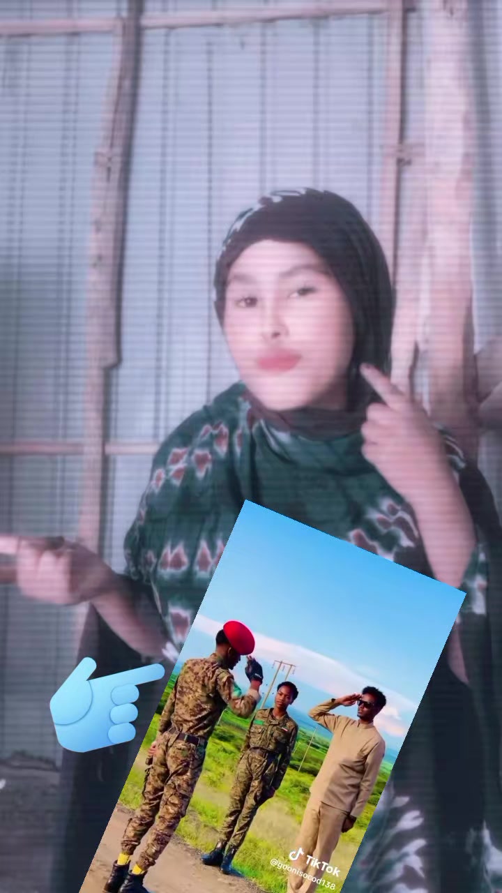 @farda awliya