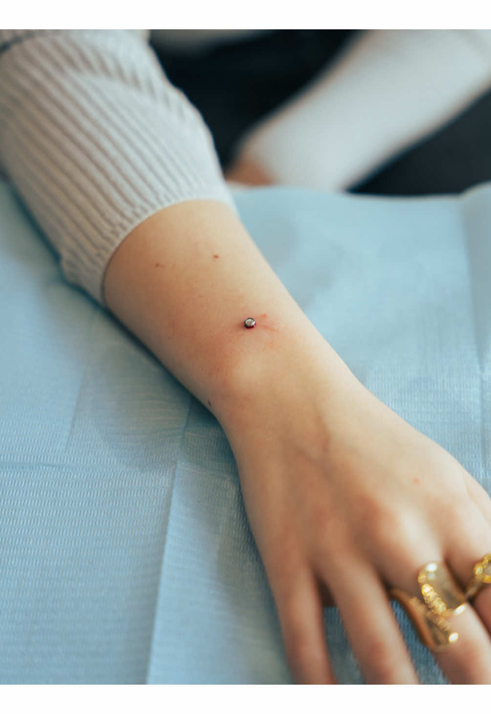 @evolvealepiercer