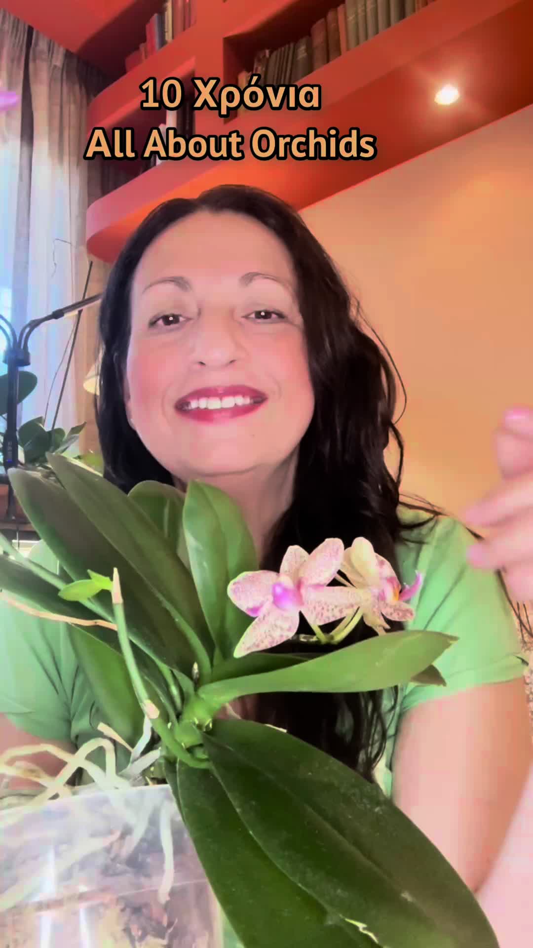 @All About Orchids