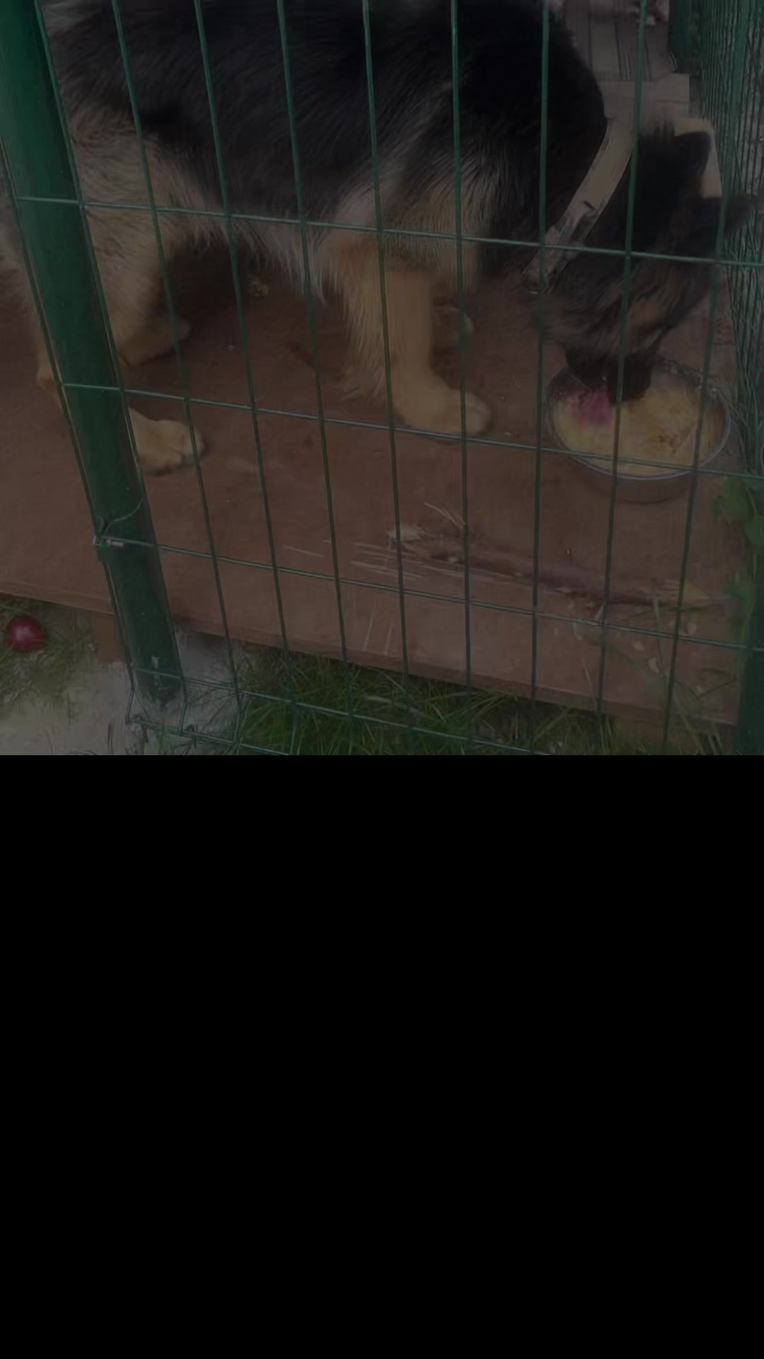 @Funnymama/eu și puiul meu