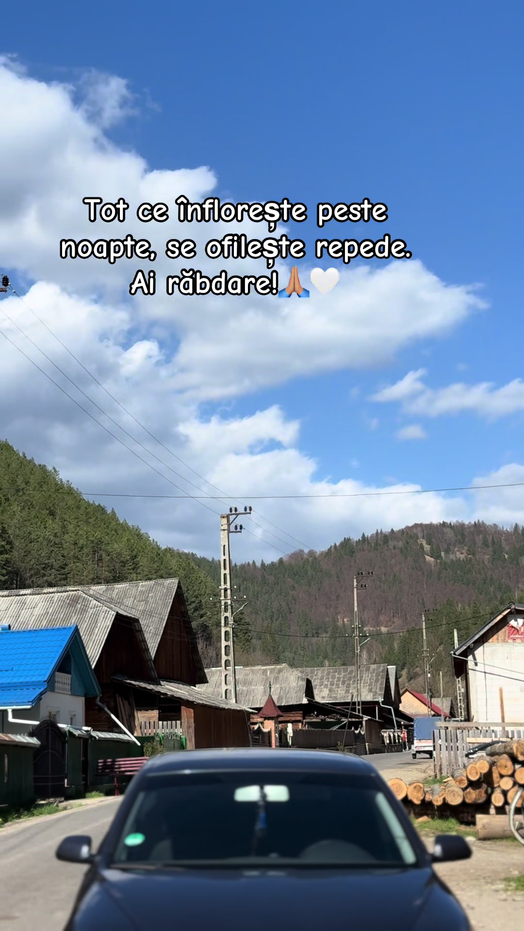@Petruț Daniel