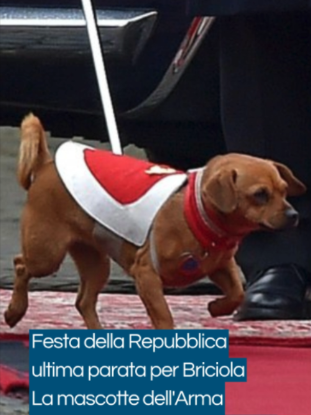 @Il Gazzettino