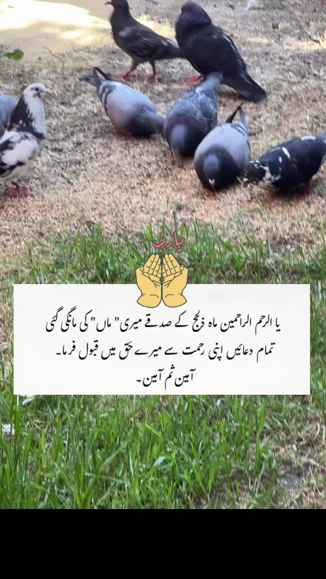 @syedajaved