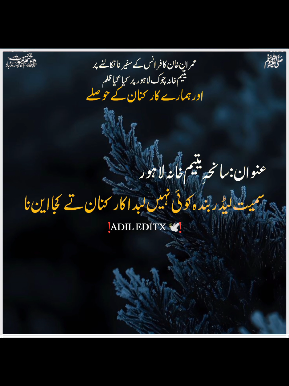 @𝗕𝗮𝗯𝗮 𝗝𝗮𝗻 ♡