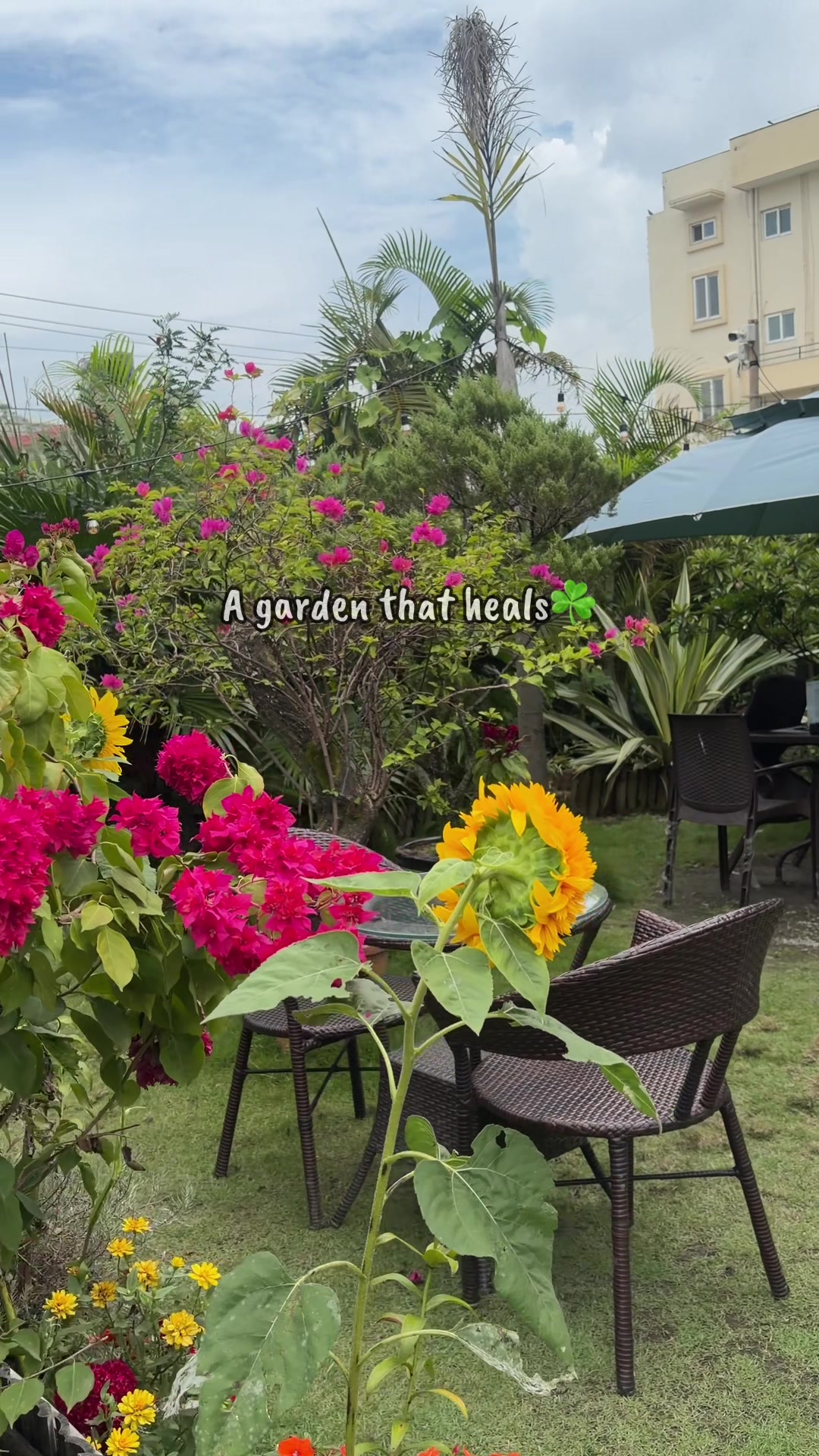 @Newprakritigarden