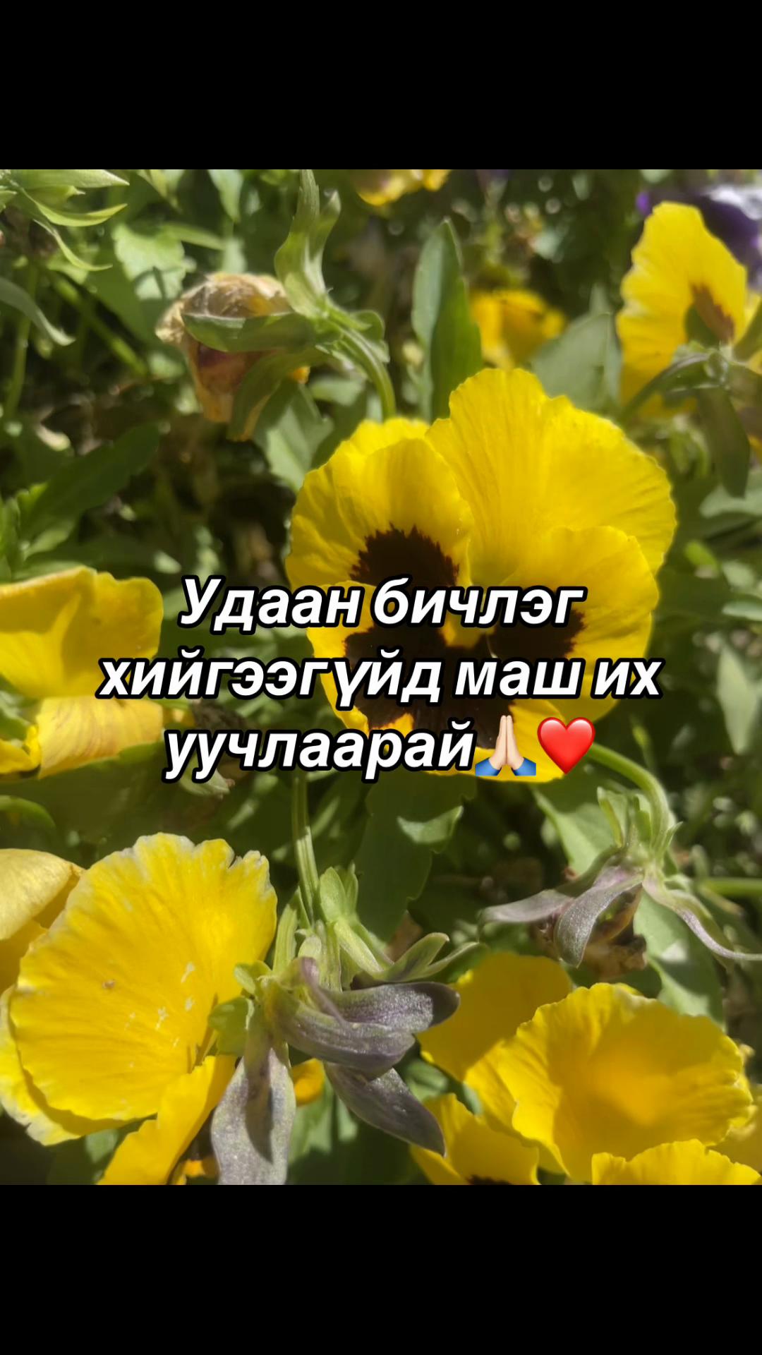 @ིྀ𝓽𝓾𝔂𝓪