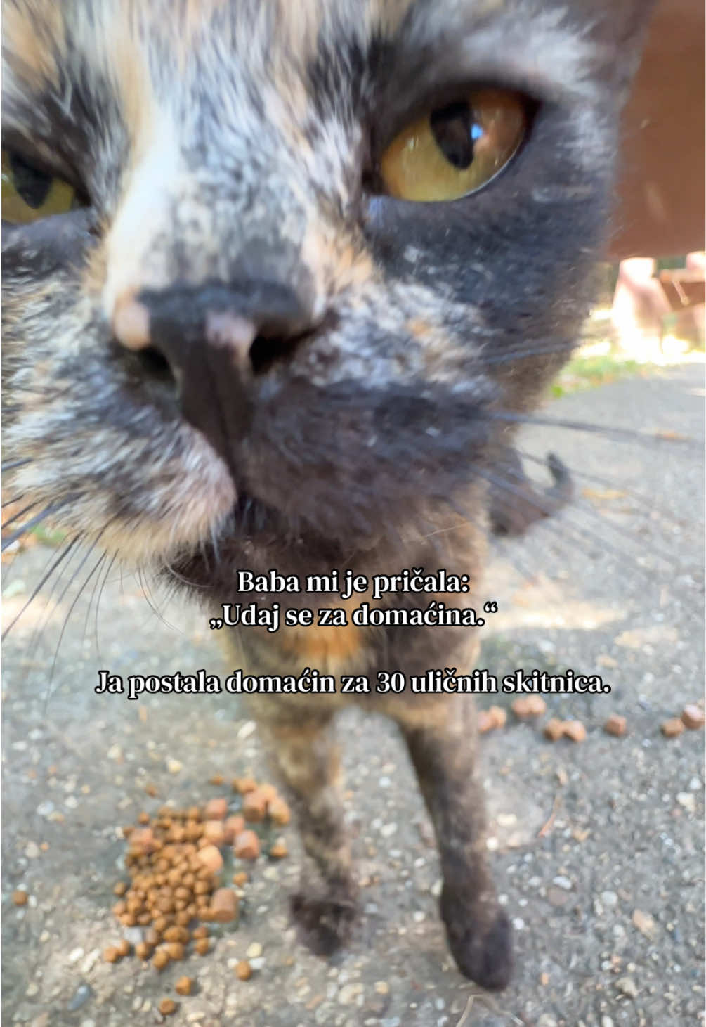 @cosanostrapurr