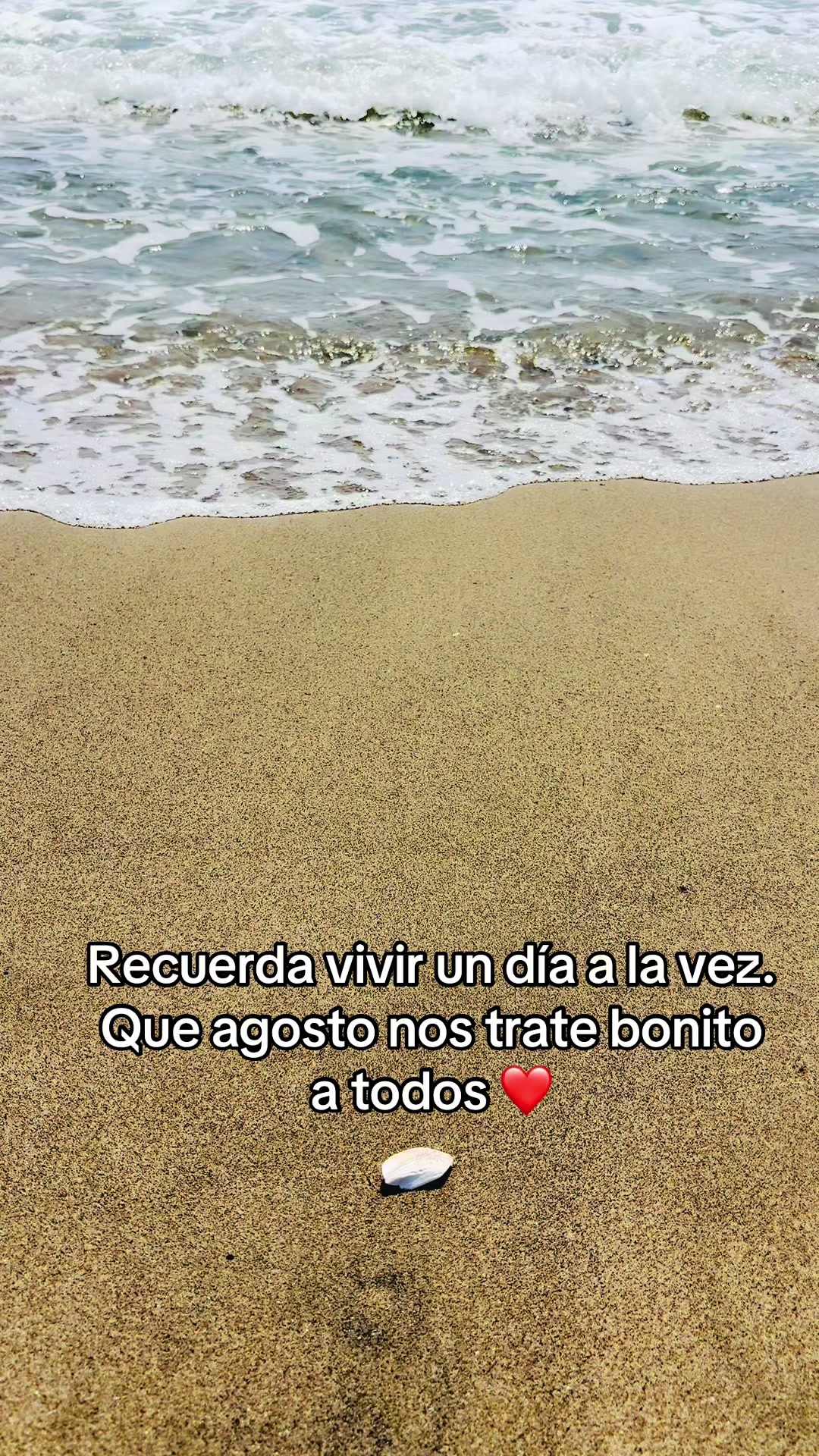 @sary25ca