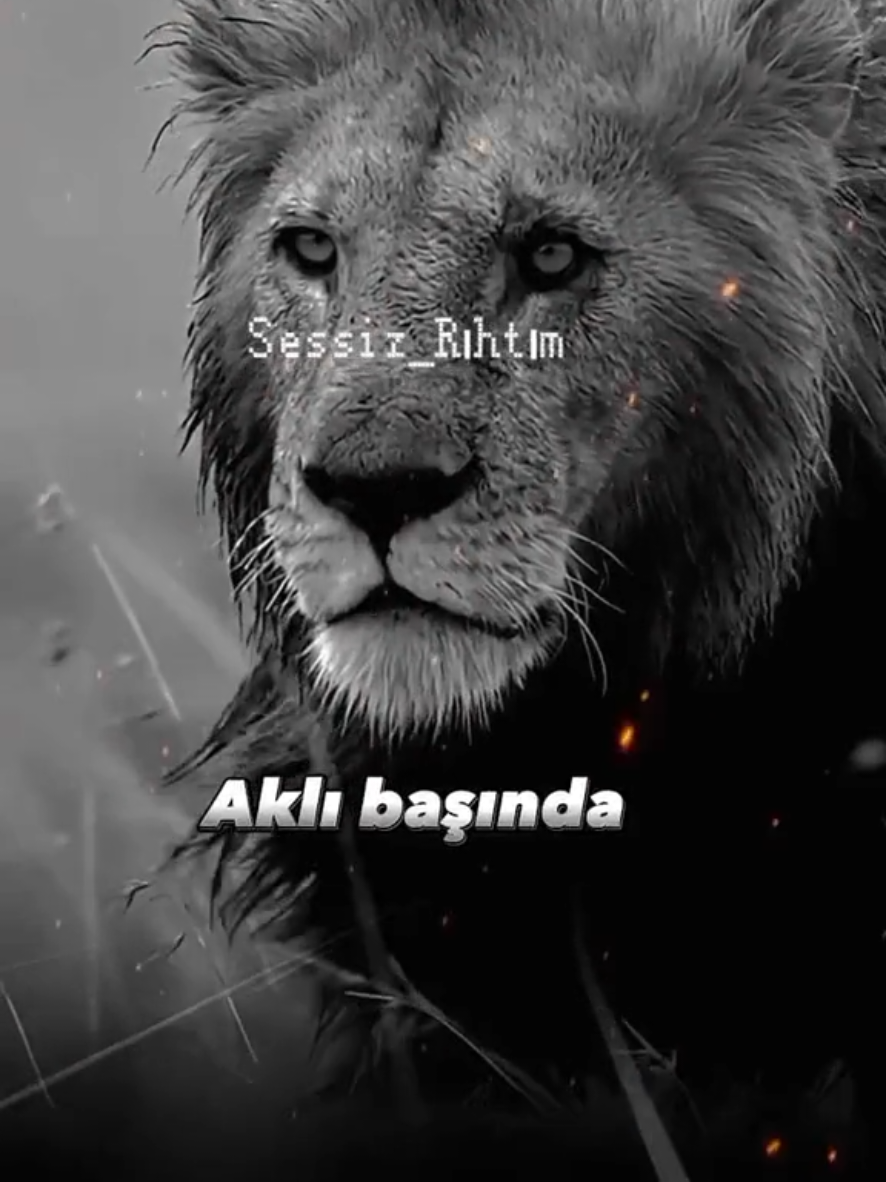 @😎🖤𝔸𝕊𝕚ℝ𝕌ℍ𝕌𝕄🖤😎