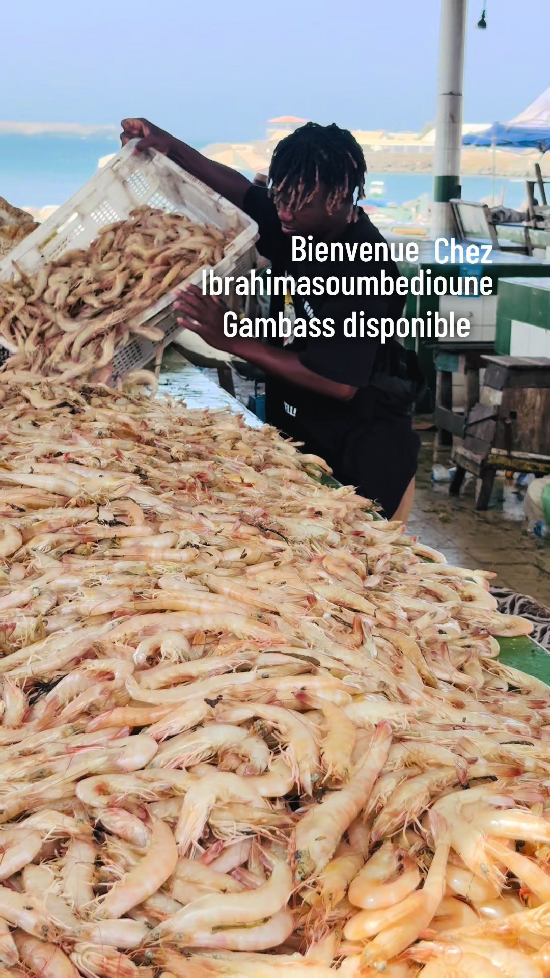 @Ibrahimasoumbedioune0