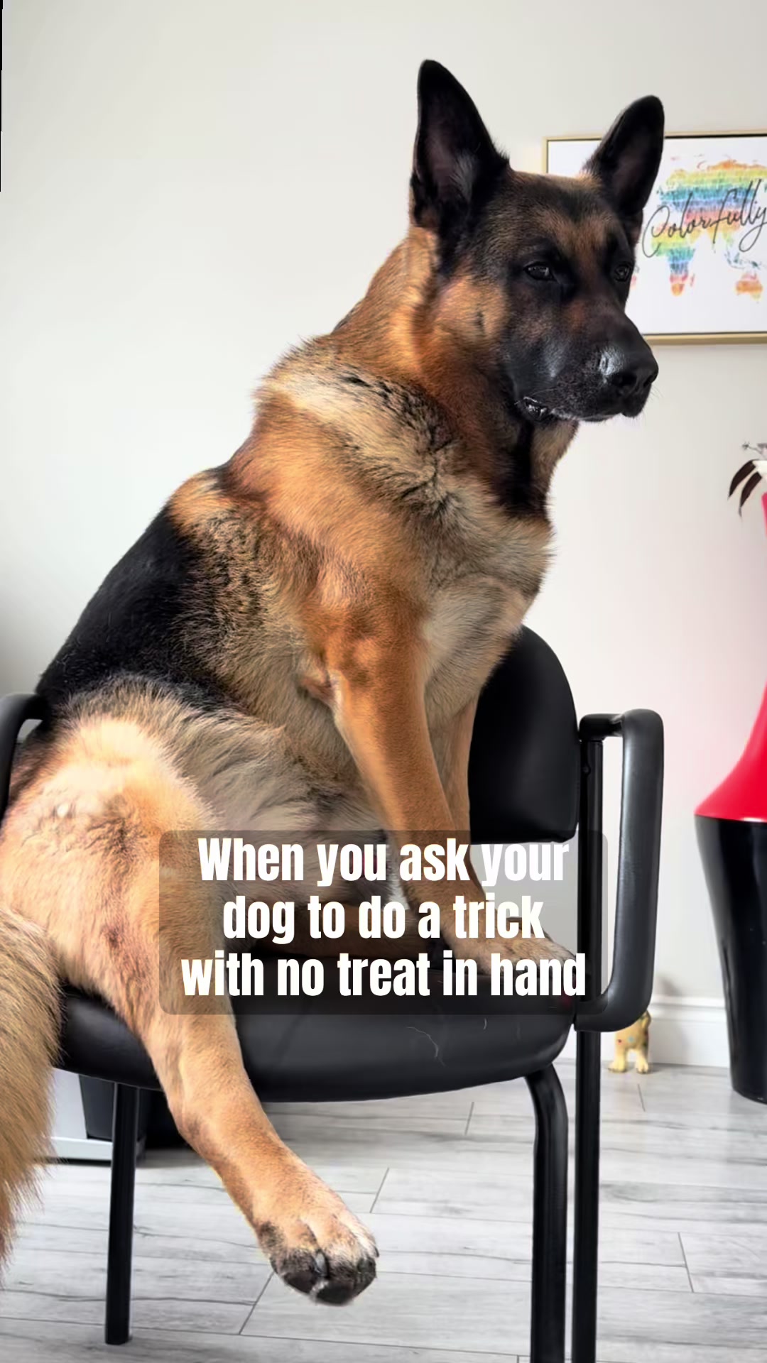 @Martygsd