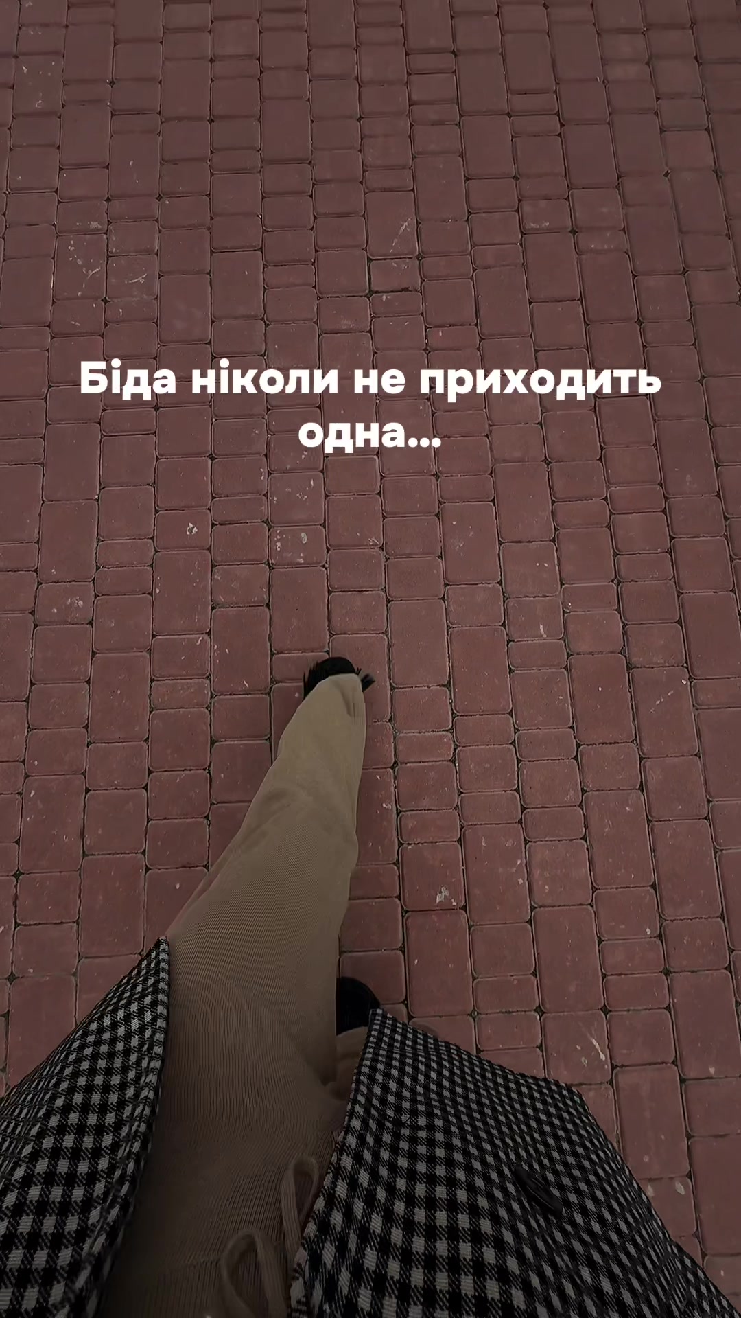 @vika_z