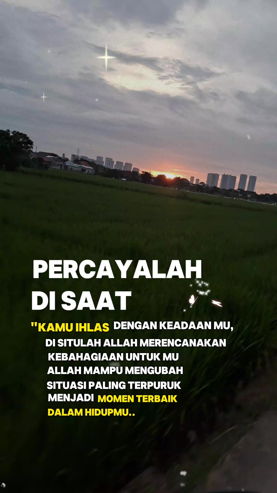 @Halimah Raka