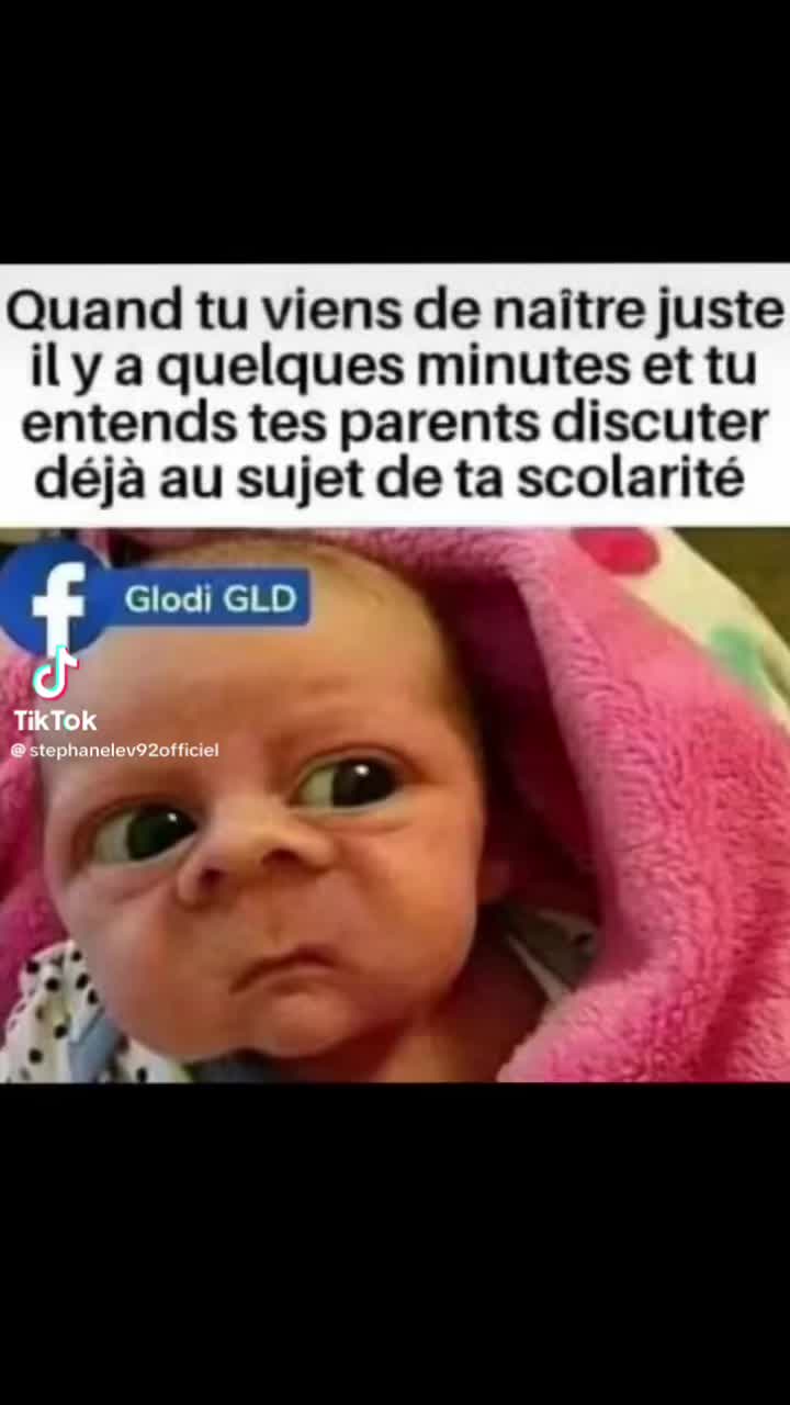 @stephanelevinternational