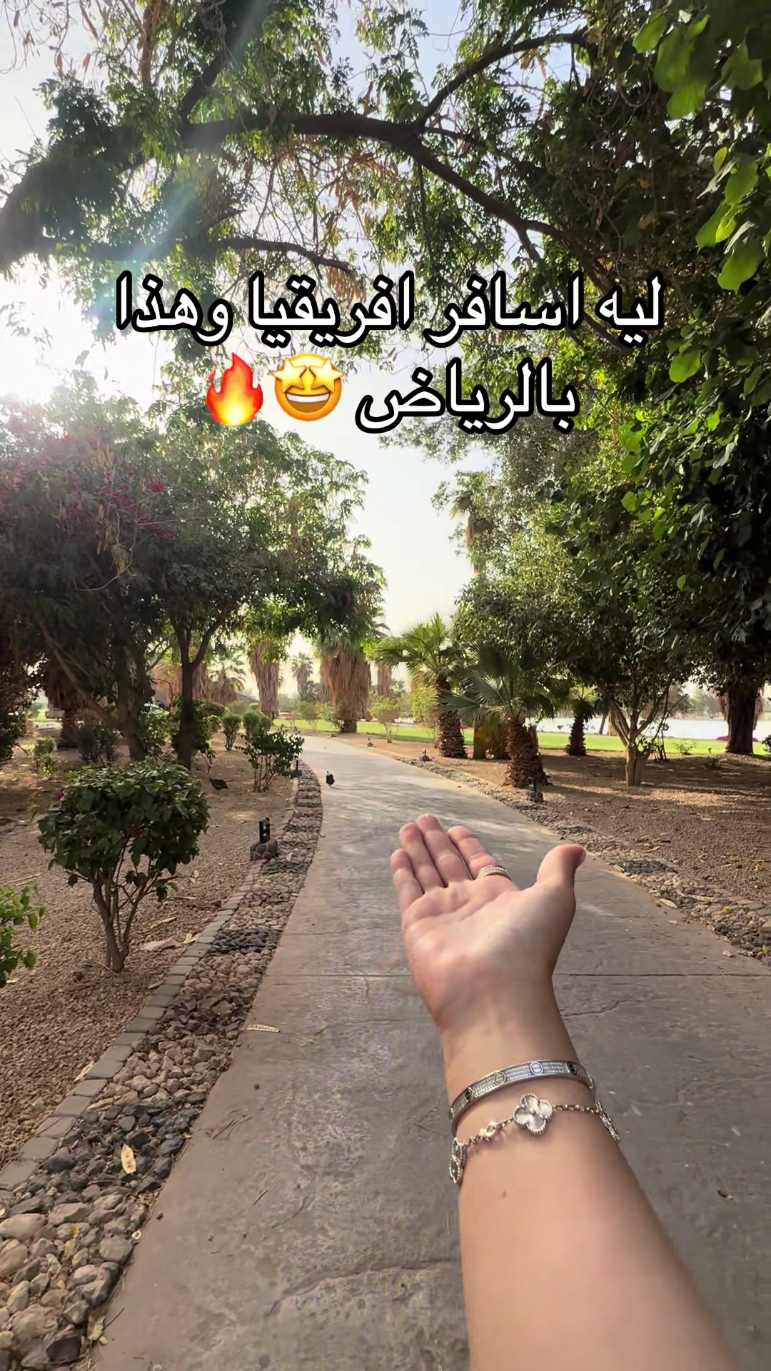 @تمشية في الرياض 🚲📍