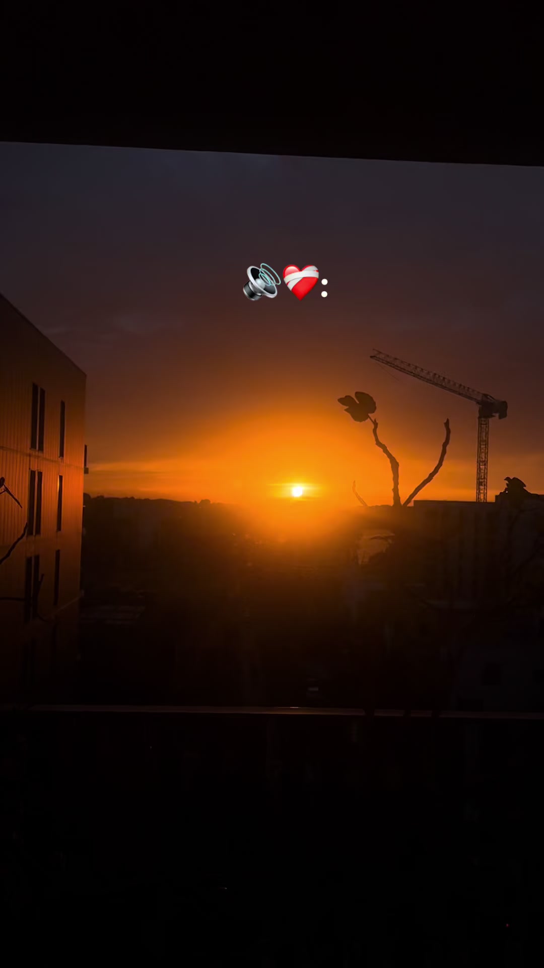@SelonLeMood 🦋
