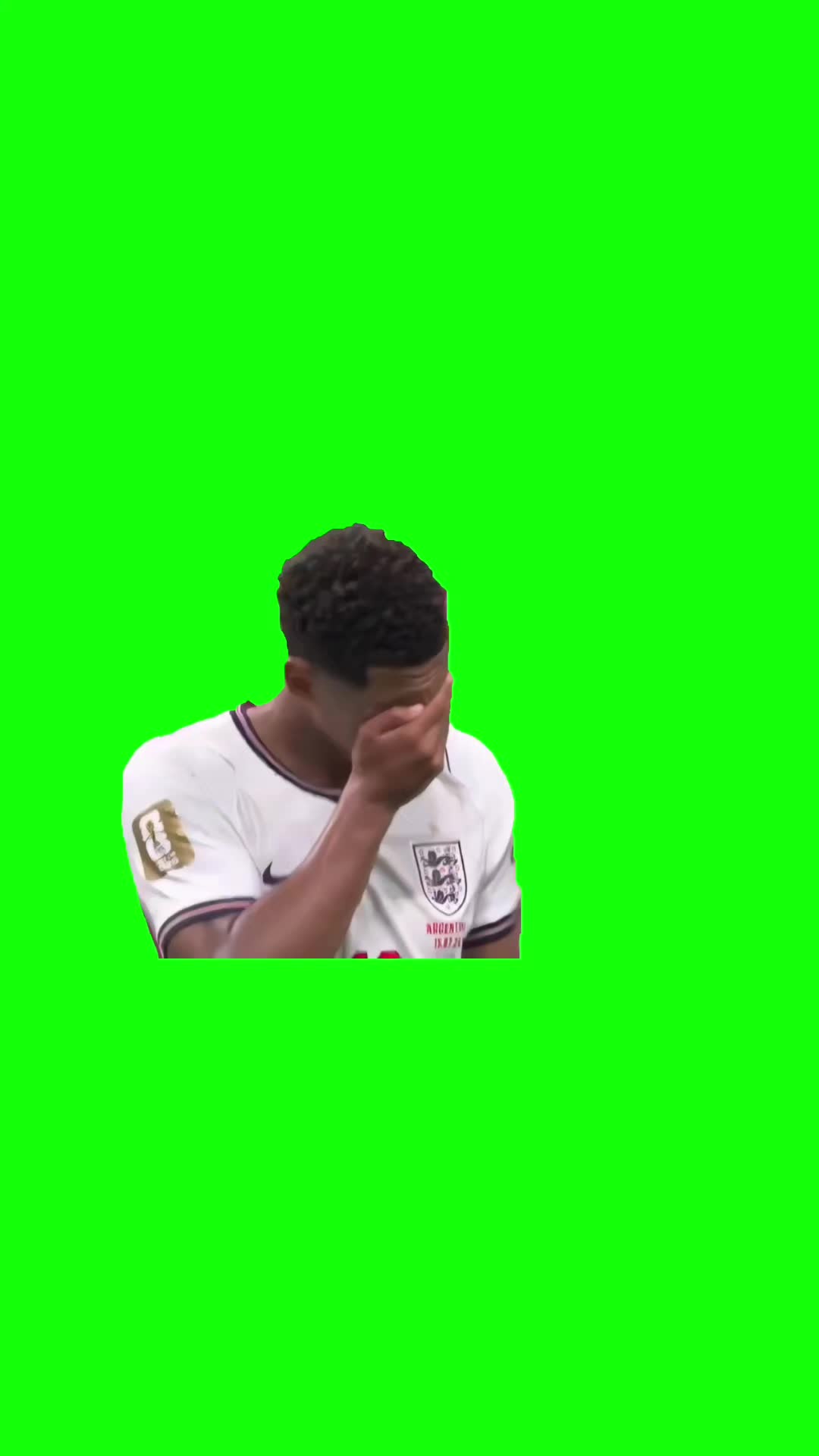 @Chief Green Screens