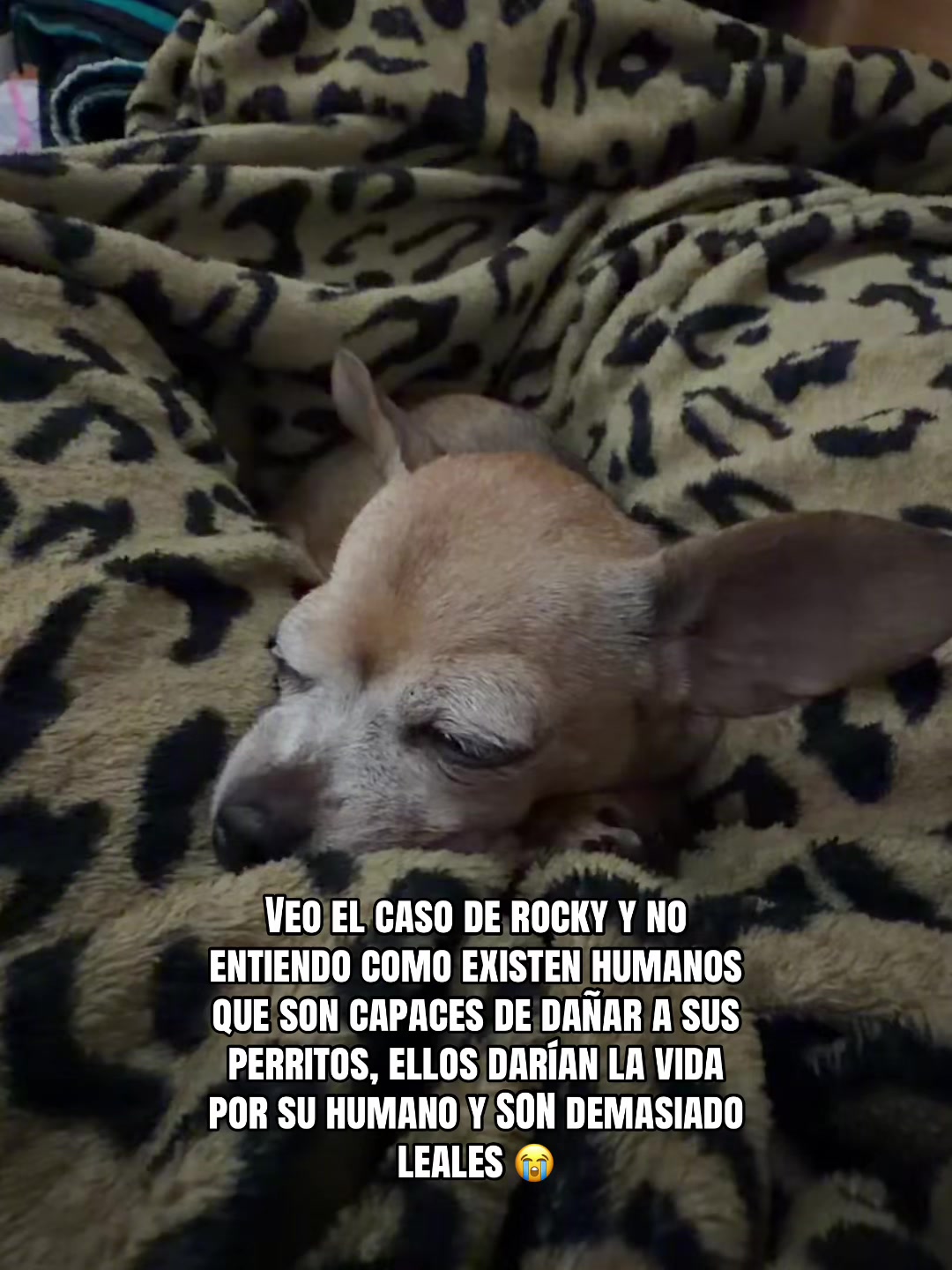 @LIC.Mari Espinoza
