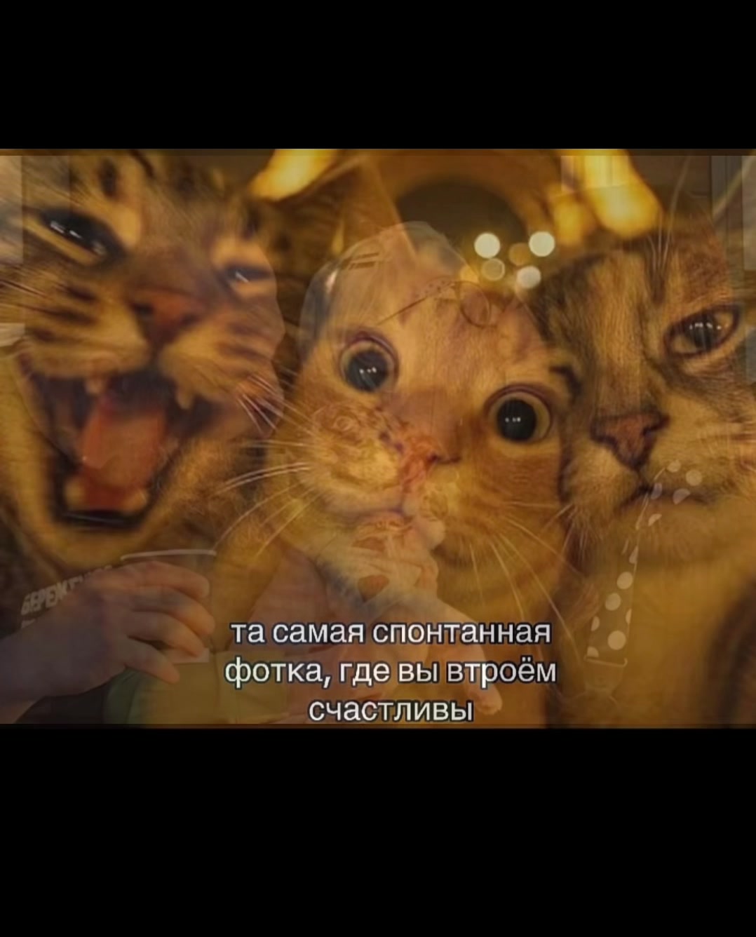@myr myr