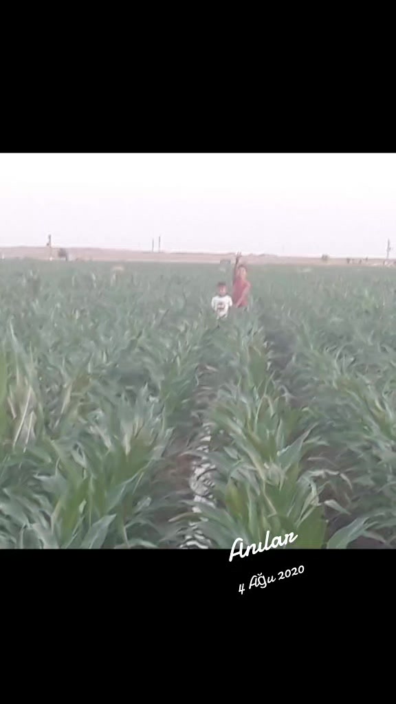 @HÜSEYİN63