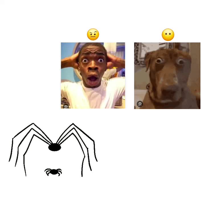 @dudethat'scrazy