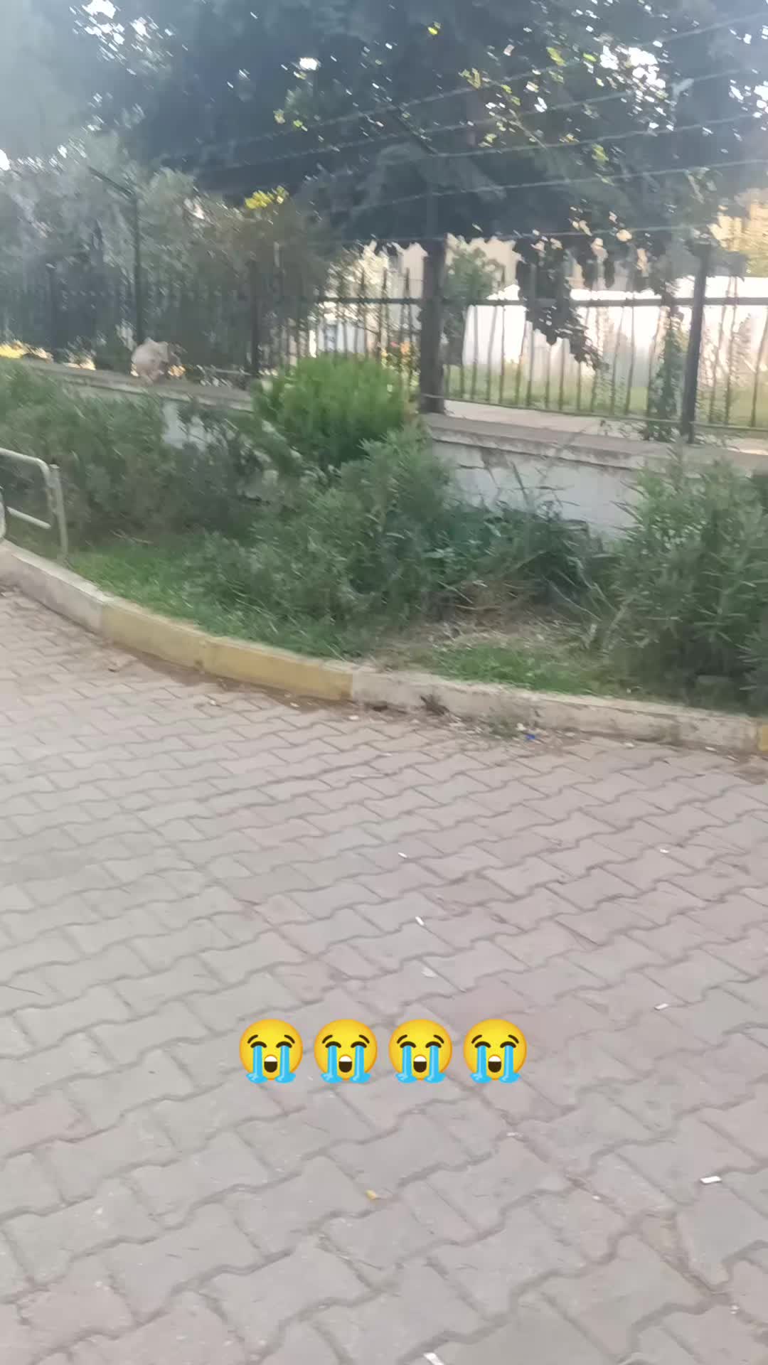 @minnoşlarim herşeyim♥️