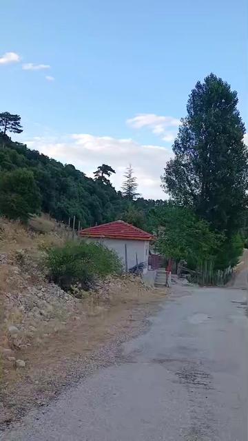 @32🇹🇷asker annesi 🇹🇷32