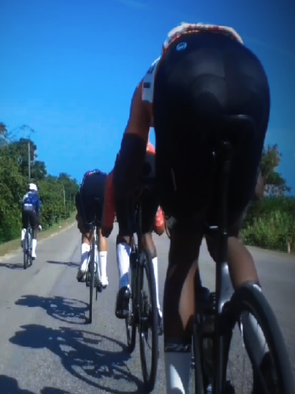 @pedalpulse