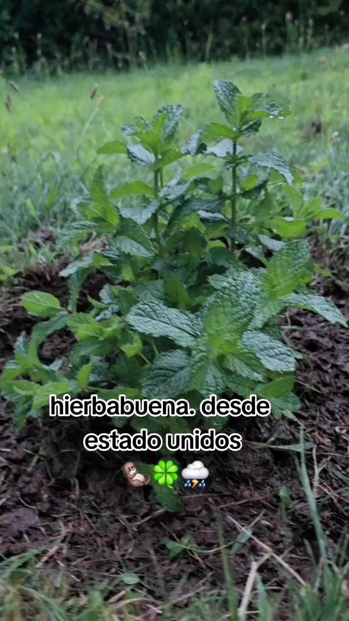 @charly.🦦