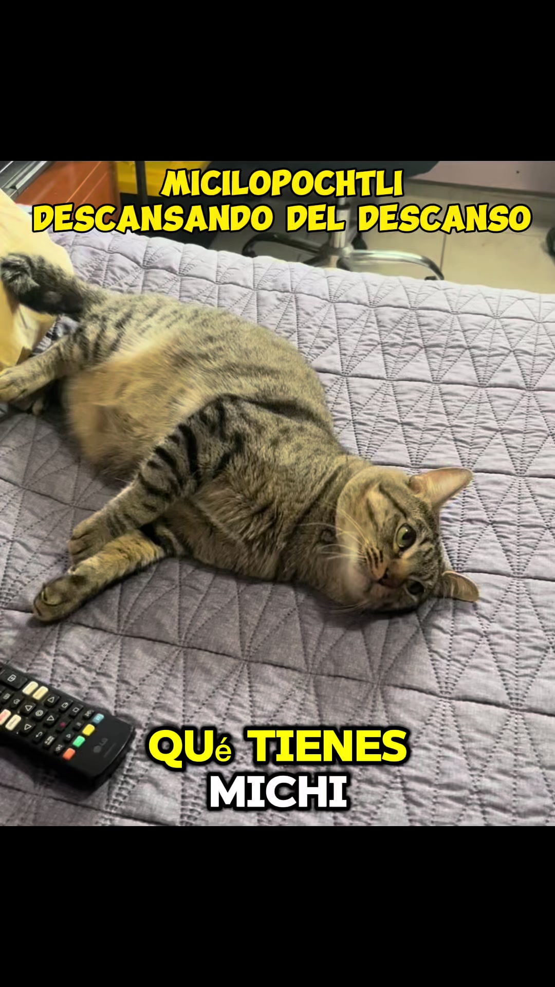 @Mely