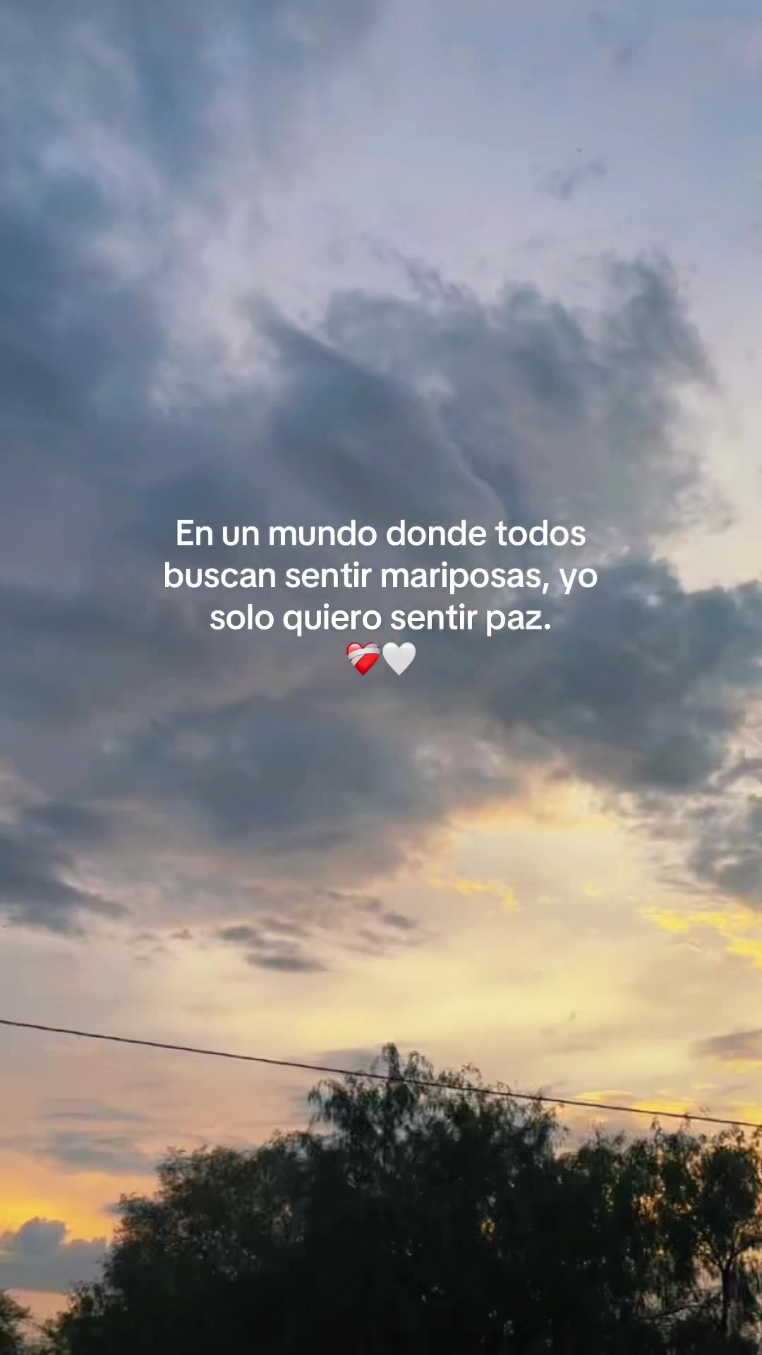 @🦋🤍 Gisela 🤍🦋