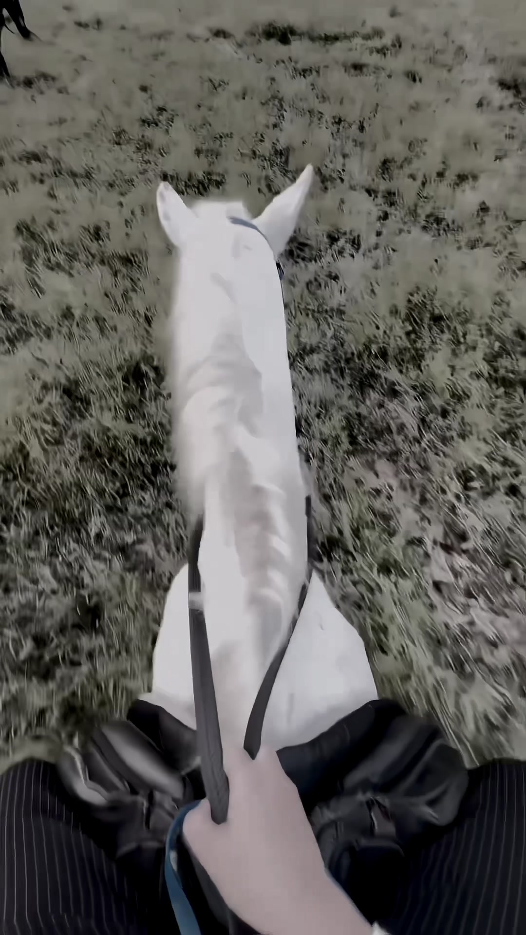 @𝗟 𝗜 𝗬 𝗔