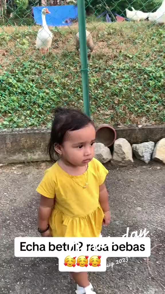 @Dr. Amran Aris