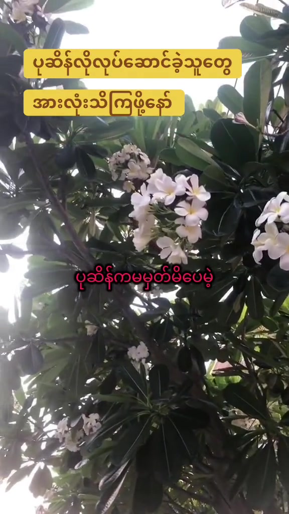 @ktdw.mdy2.official