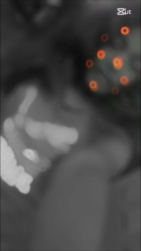 @<_๐ฝ๐ก๐๐ ๐ฎ๐ฎ_๐๐ง๐ป
