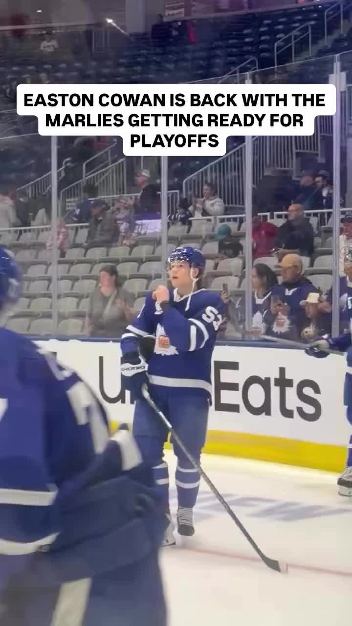 @leafspapi