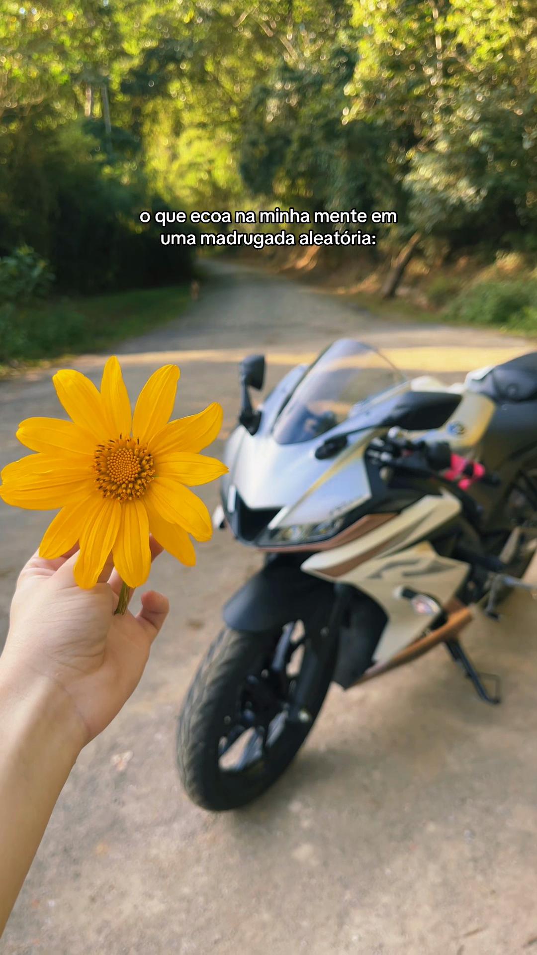 @Giovanna Duarte